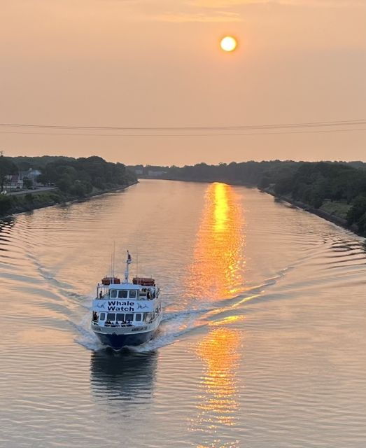 cape-may-sunset-dolphin-watching-cruise-with-food