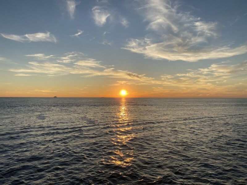 cape-may-sunset-dolphin-watching-cruise-with-food