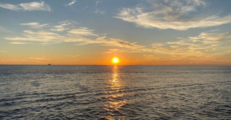 cape-may-sunset-dolphin-watching-cruise-with-food