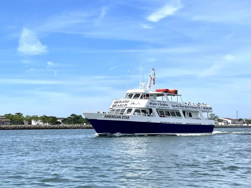 cape-may-sunset-dolphin-watching-cruise-with-food