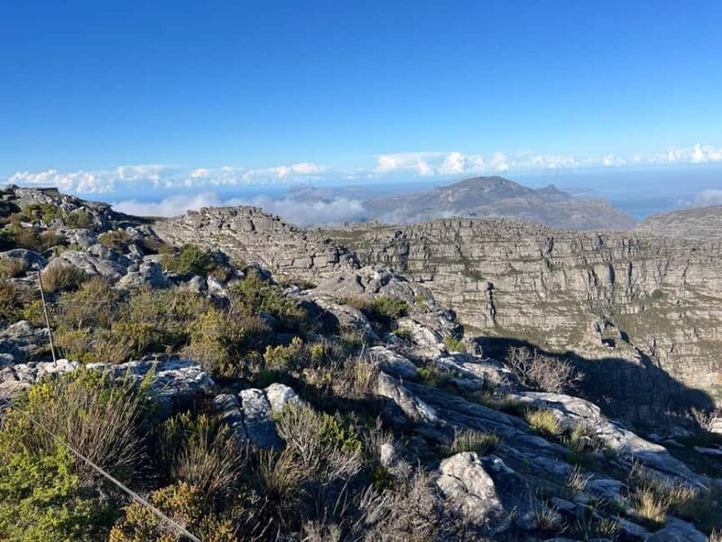 Cape of Good Hope and Boulders Beach Private Tour - An Overview of the Tour Experience