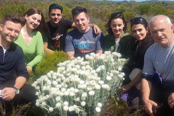 Cape of Good Hope and Cape Winelands Day Tour from Cape Town - Final Thoughts: Who Should Book This Tour?