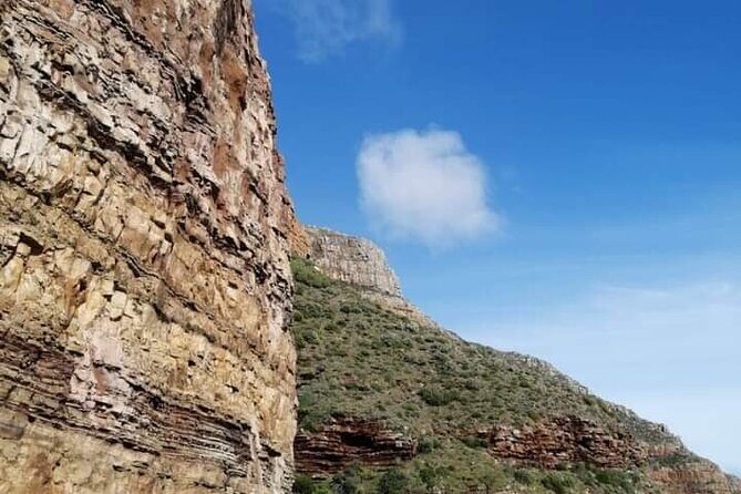 Cape of Good Hope and Penguin Beach Tour in Cape Town - An In-Depth Look at the Tour Experience