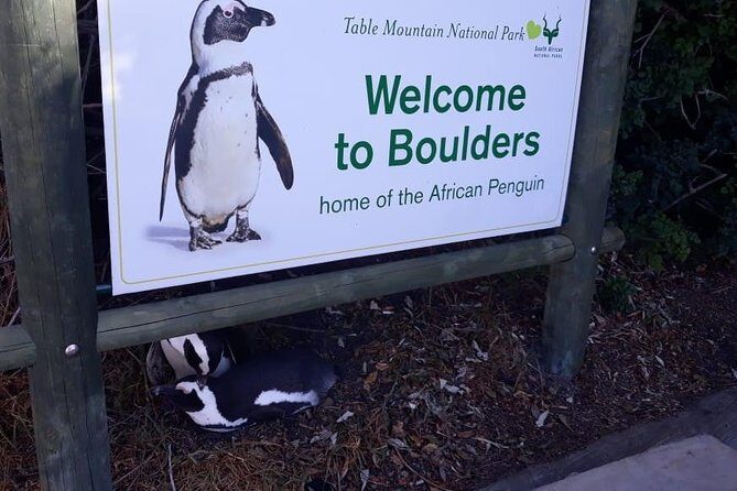 Cape of Good Hope and Penguins - Small Group - Full day - Who Should Consider This Tour?