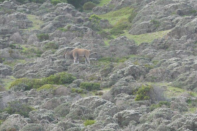 Cape of good hope and penguins small group Tours - Final Thoughts