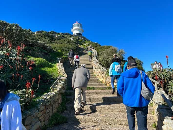 Cape Of Good Hope and Penguins viewing Private Day Tour - Key Points