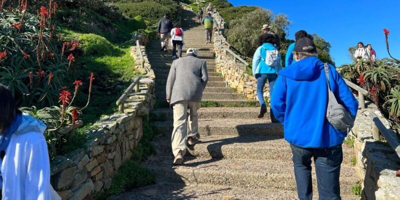 Cape Of Good Hope and Penguins viewing Private Day Tour - An In-Depth Look at the Tour Itinerary