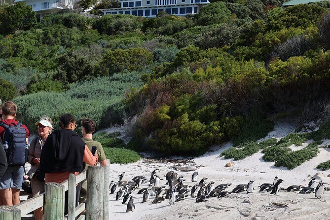 Cape Of Good Hope and Table Mountain Day Trip from Cape Town parks fees include - FAQ