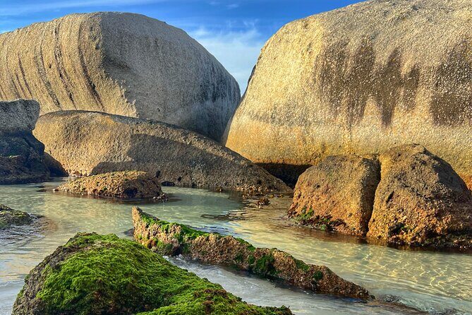 Cape of Good Hope Cape Point for groups - What Makes This Tour Stand Out?