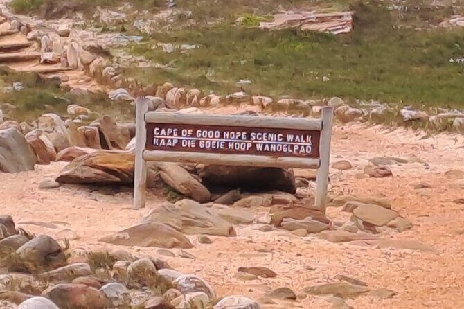 Cape of Good Hope-Cape Point & Penguins from Cape Town - What Makes This Tour Worth It?