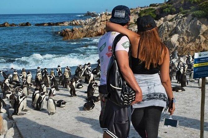 Cape of Good Hope-Cape Point - Penguins Private Tour Cape Town - Final Thoughts