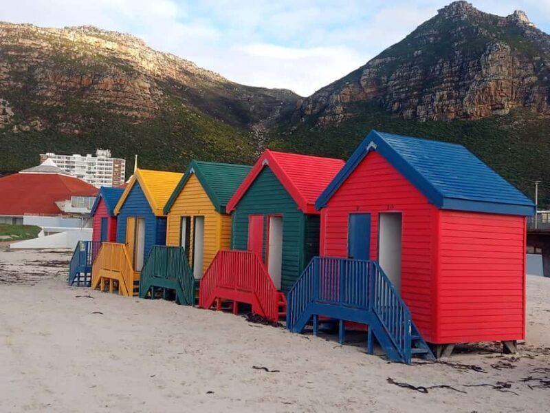 Cape of Good Hope& Penguins at Boulders Beach full day tour - A Closer Look at the Itinerary and Highlights