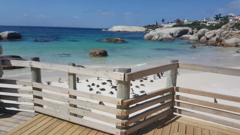 Cape of Good Hope& Penguins at Boulders Beach full day tour - Practical Tips for Travelers