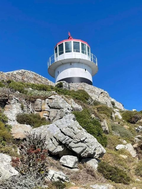 Cape of Good Hope & Penguins Shared Tour - The Value of This Tour