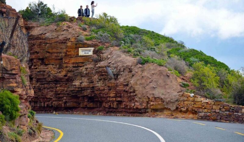 Cape of Good Hope & Penguins Small Group Tour from Cape Town - Who is This Tour Best For?