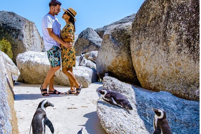 Cape of Good Hope & Penguins Small Group Tour from Cape Town - The Itinerary: What to Expect at Each Stop