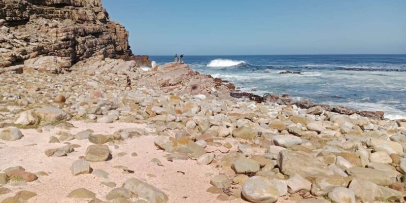 Cape of Good Hope & Seal Island Cruise" - Key Points