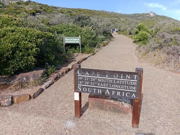 Cape of Good Hope & Seal Island Cruise" - Who Will Benefit Most?