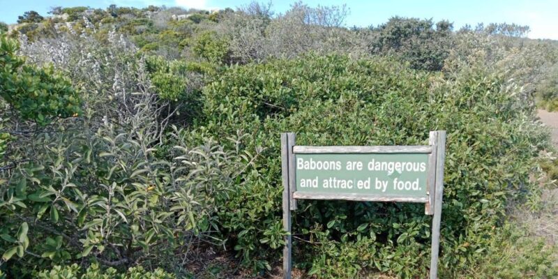 Cape of Good Hope & Seal Island Cruise" - The Sum Up