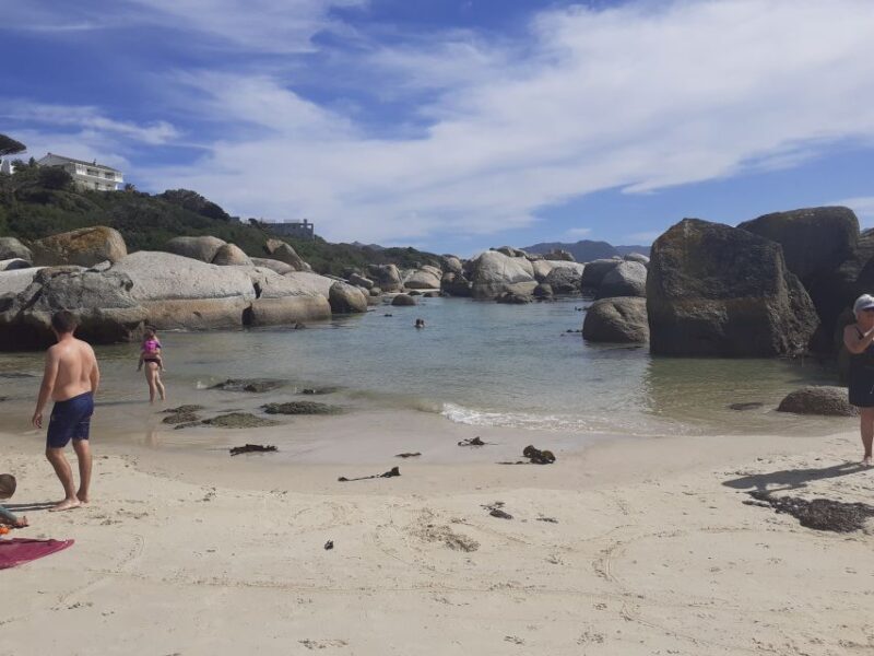Cape of Good Hope: Sightseeing and African Penguins Tour - Who Would Love This Tour?