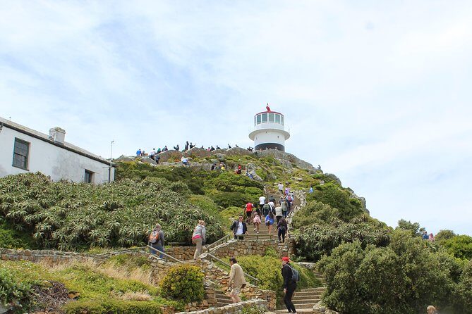 Cape of Good Hope T Mountain Bo-Kaap Penguins Private +Tickets - Frequently Asked Questions