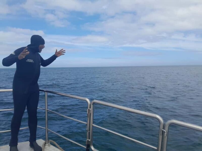 Cape of Good Hope - Authentic Insights from Reviews