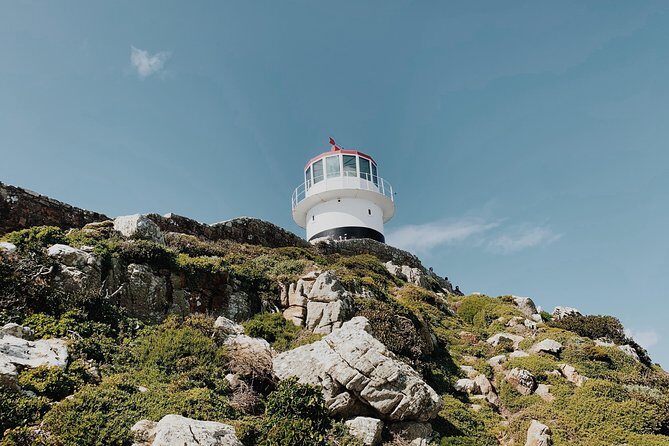 Cape of Good Hope, Table Mountain & Penguins Private Tour from Cape Town - Final Thoughts