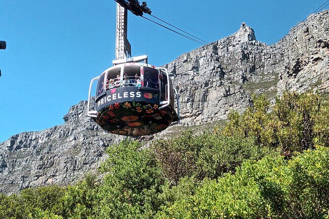 Cape of Good Hope, Table Mountain & Penguins Tour + All Tickets - Who Would Love This Tour?