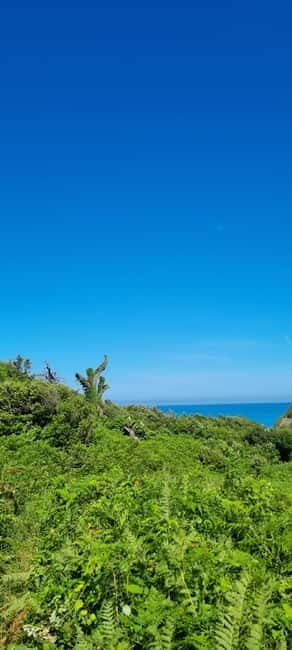 Cape of Rodon, Hiking to Castle, Beach, Wine testing tour! - A Closer Look at the Itinerary and Highlights