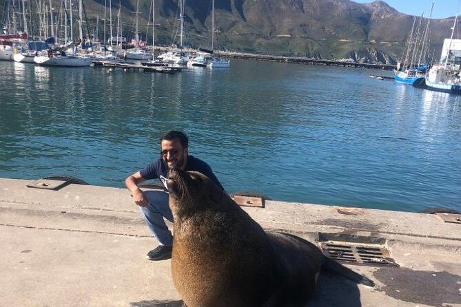 Cape Peninsula Adventure - Why We Recommend It