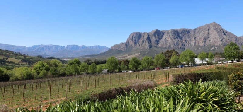 Cape Peninsula and Winelands Private Full-Day Combo Tour - Key Points  