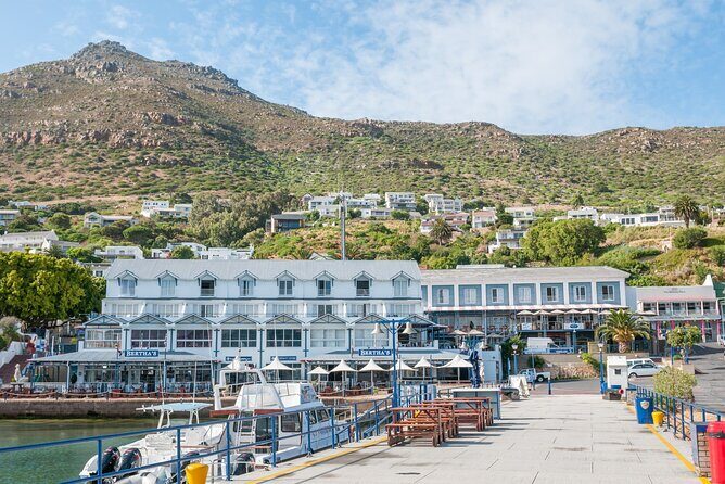 Cape Peninsula & Boulders Beach Day Trip from Cape Town - Transportation and Group Size