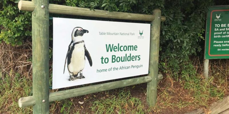 Cape Peninsula, Cape of Good Hope and Penguins Private Tour - Who Is This Tour Best Suited For?