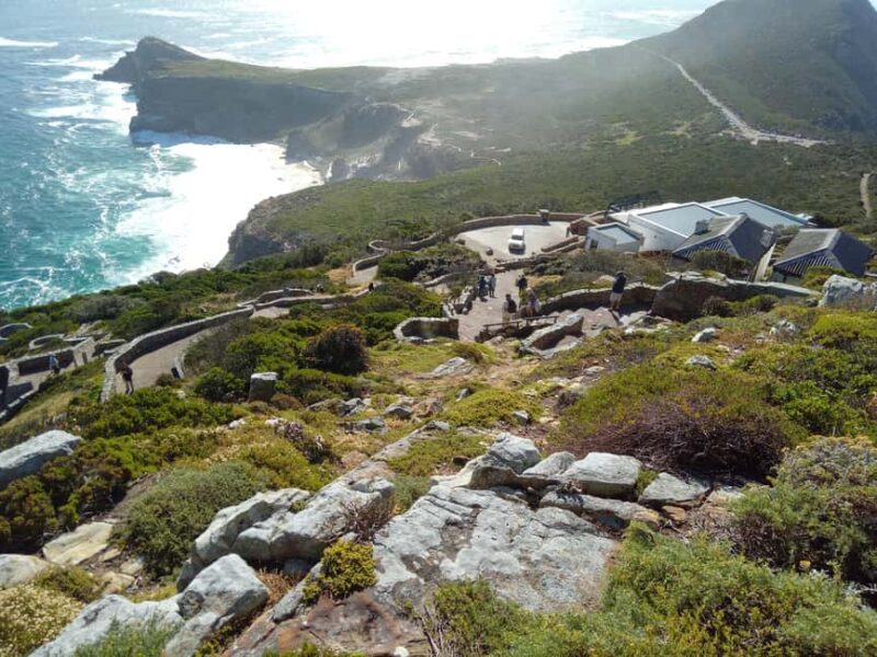 Cape Peninsula: Cape of Good Hope & Boulders Beach Penguins - Key Points
