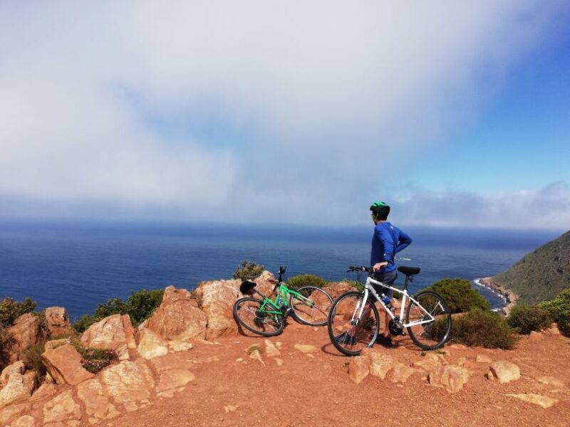 Cape Peninsula: Cycle & Drive Private Full Day Tour - A Closer Look at the Cape Peninsula Tour