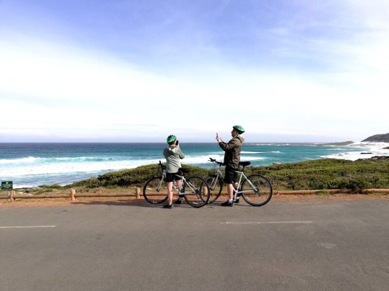 Cape Peninsula: Cycle & Drive Private Full Day Tour - Practical Tips for Making the Most of Your Day