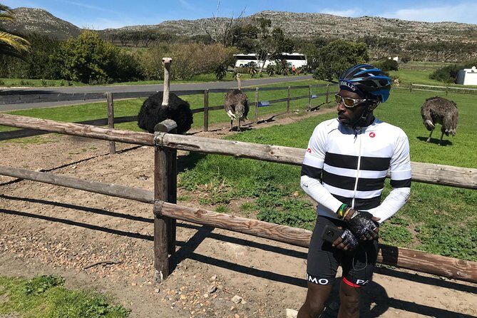 Cape Peninsula Cycle Tour - Final Thoughts