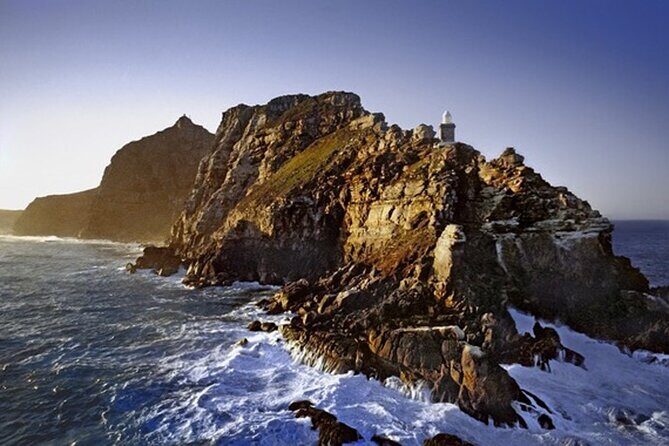 Cape Peninsula Day Tour - A Deep Dive into the Cape Peninsula Tour