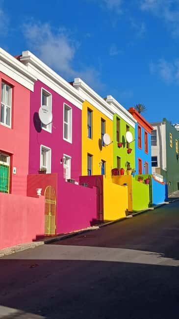 Cape Peninsula Day Tour - Is it Worth It? Analyzing the Value