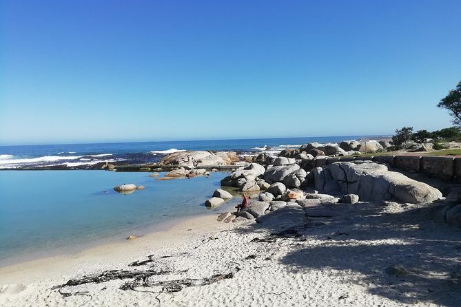 Cape Peninsula Day Tour - An In-Depth Look at the Itinerary