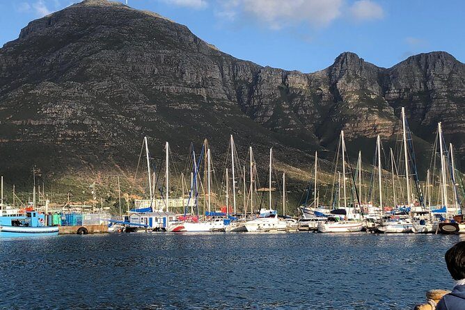 Cape Peninsula Day Tour - Frequently Asked Questions