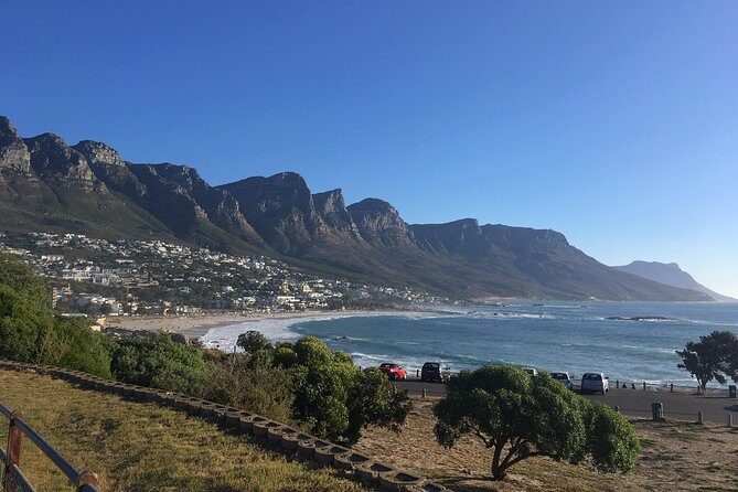Cape Peninsula E-bike Cycle with Vehicle - Private Tour - FAQ
