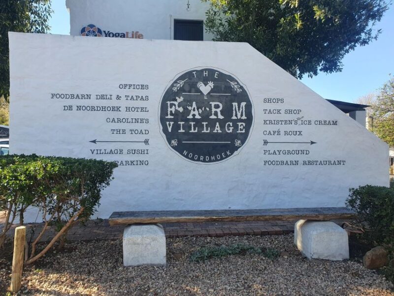 Cape Peninsula Full Day Tour In Private Car - Key Points  