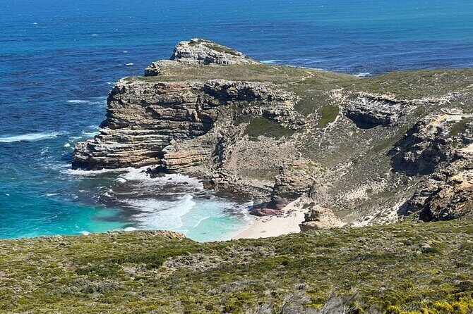 Cape Peninsula &Penguin Sightseeing in Private Car Full Day Tour - A Full Breakdown of the Itinerary