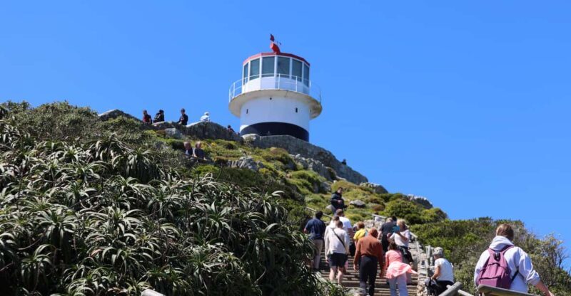 Cape Peninsula & Penguins Beach Half Day Tour from Cape Town - An In-Depth Look at the Tour Experience
