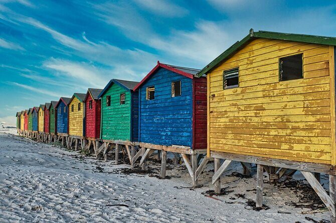 Cape Peninsula & Penguins Private Day Tour, Entrances Included. - The Sum Up