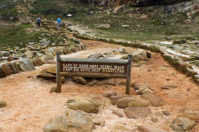 Cape Peninsula Private Tour - FAQ