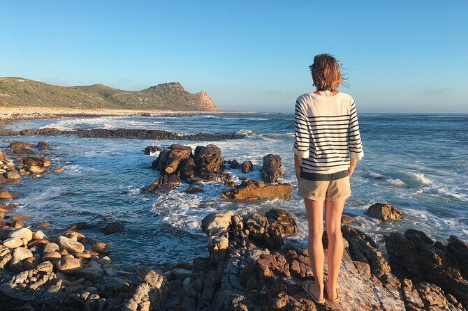 Cape Peninsula Private Tour In Cape Town South Africa - What Sets This Tour Apart?