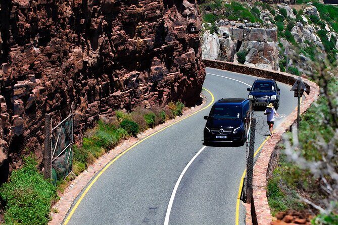 Cape Peninsula Private Tour Include Park Fees - The Sum Up