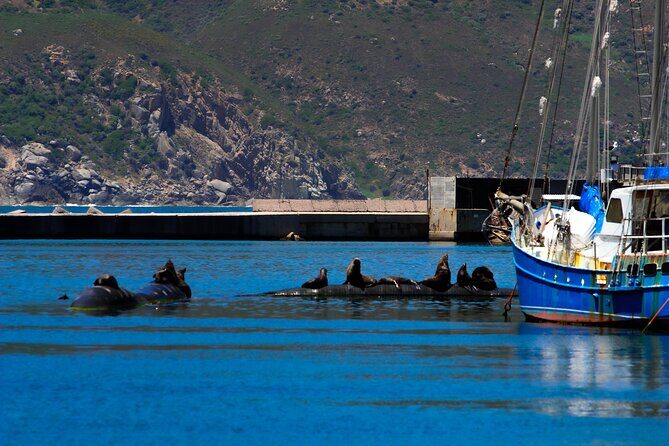 Cape Peninsula Private Tour Include Park Fees - FAQ